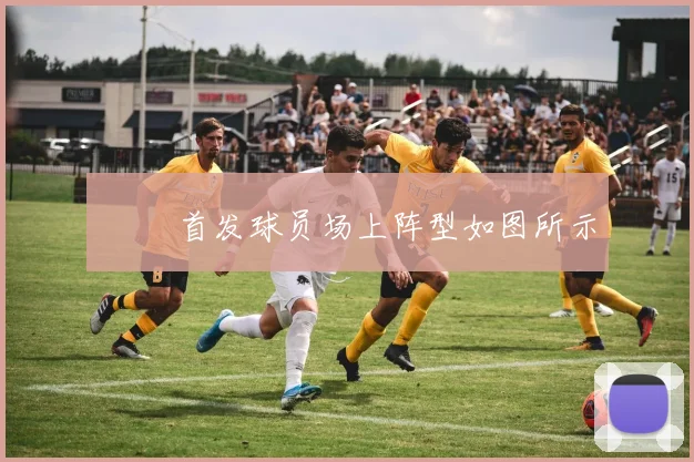 ♟️ 首发球员场上阵型如图所示