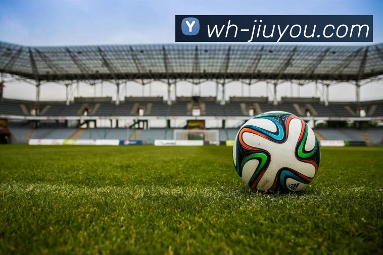 九游app平台生态图